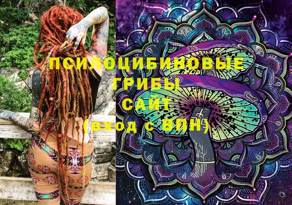 дурь Чердынь
