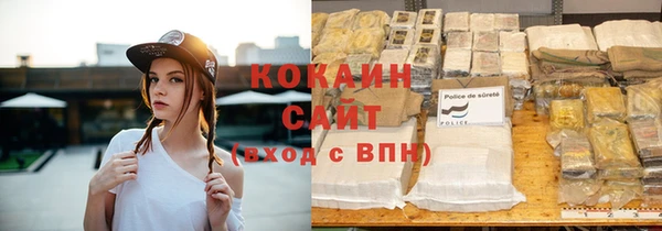 твердый Арсеньев
