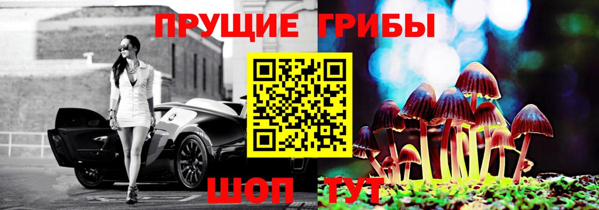 Галлюциногенные грибы Psilocybine cubensis  Галлюциногенные грибы Psilocybe  Вход с VPN  Тамбов 